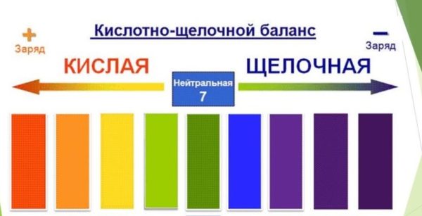 Схема соотношения кислот и щелочей в организме человека