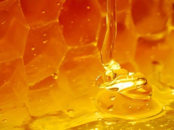 Для лечения ЖКТ лучше выбирать мёд высокосортный, свежий